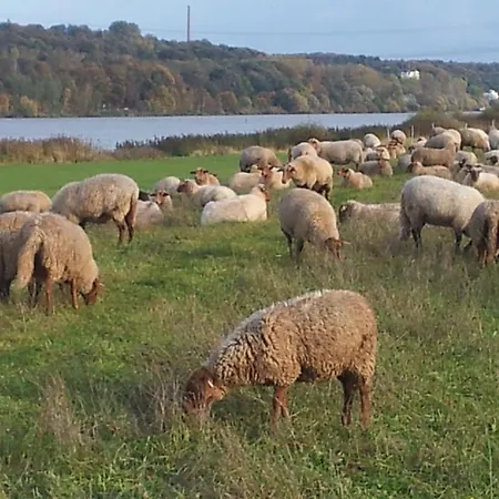 Apartment Elbe-ferien 2 *