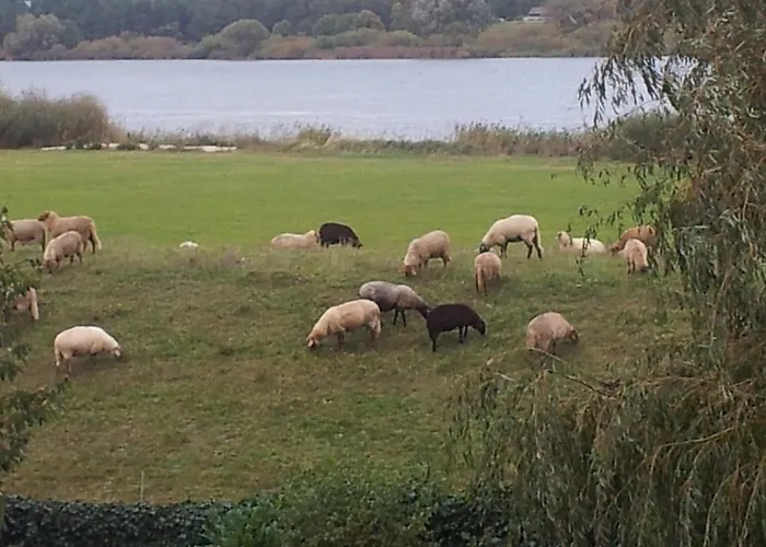 شقة Elbe-ferien 2 Tespe